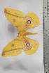  ( - BC-TB4418)  @12 [ ] Copyright (2010) Unspecified Research Collection of Thierry Bouyer