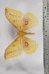  ( - BC-TB4419)  @12 [ ] Copyright (2010) Unspecified Research Collection of Thierry Bouyer