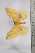  ( - BC-TB4420)  @11 [ ] Copyright (2010) Unspecified Research Collection of Thierry Bouyer
