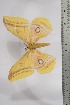  ( - BC-TB4422)  @12 [ ] Copyright (2010) Unspecified Research Collection of Thierry Bouyer
