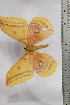  ( - BC-TB4423)  @12 [ ] Copyright (2010) Unspecified Research Collection of Thierry Bouyer