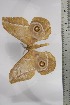  ( - BC-TB4424)  @13 [ ] Copyright (2010) Unspecified Research Collection of Thierry Bouyer