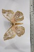 ( - BC-TB4426)  @12 [ ] Copyright (2010) Unspecified Research Collection of Thierry Bouyer