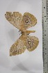  ( - BC-TB4428)  @13 [ ] Copyright (2010) Unspecified Research Collection of Thierry Bouyer