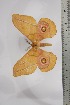  ( - BC-TB4431)  @11 [ ] Copyright (2010) Unspecified Research Collection of Thierry Bouyer