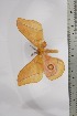  ( - BC-TB4432)  @11 [ ] Copyright (2010) Unspecified Research Collection of Thierry Bouyer