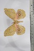  ( - BC-TB4434)  @13 [ ] Copyright (2010) Unspecified Research Collection of Thierry Bouyer