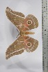  ( - BC-TB4443)  @12 [ ] Copyright (2010) Unspecified Research Collection of Thierry Bouyer