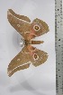  ( - BC-TB4444)  @11 [ ] Copyright (2010) Unspecified Research Collection of Thierry Bouyer