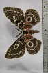  ( - BC-TB4457)  @13 [ ] Copyright (2010) Unspecified Research Collection of Thierry Bouyer