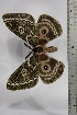  ( - BC-TB4458)  @13 [ ] Copyright (2010) Unspecified Research Collection of Thierry Bouyer