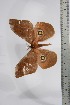  ( - BC-TB4501)  @12 [ ] Copyright (2010) Unspecified Research Collection of Thierry Bouyer