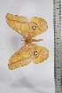  ( - BC-TB4502)  @13 [ ] Copyright (2010) Unspecified Research Collection of Thierry Bouyer