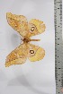  ( - BC-TB4503)  @12 [ ] Copyright (2010) Unspecified Research Collection of Thierry Bouyer