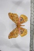 ( - BC-TB4505)  @12 [ ] Copyright (2010) Unspecified Research Collection of Thierry Bouyer