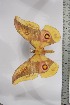  ( - BC-TB4508)  @13 [ ] Copyright (2010) Unspecified Research Collection of Thierry Bouyer