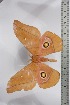  ( - BC-TB4556)  @13 [ ] Copyright (2010) Unspecified Research Collection of Thierry Bouyer