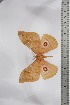  ( - BC-TB4573)  @13 [ ] Copyright (2010) Unspecified Research Collection of Thierry Bouyer