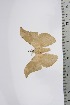  ( - BC-TB4579)  @12 [ ] Copyright (2010) Unspecified Research Collection of Thierry Bouyer