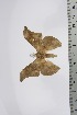  ( - BC-TB4586)  @12 [ ] Copyright (2010) Unspecified Research Collection of Thierry Bouyer