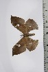  ( - BC-TB4627)  @12 [ ] Copyright (2010) Unspecified Research Collection of Thierry Bouyer