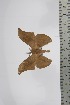  ( - BC-TB4672)  @12 [ ] Copyright (2010) Unspecified Research Collection of Thierry Bouyer