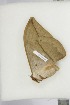  ( - BC-TB4698)  @12 [ ] Copyright (2010) Unspecified Research Collection of Thierry Bouyer