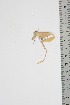  ( - BC-TB4739)  @12 [ ] Copyright (2010) Unspecified Research Collection of Thierry Bouyer