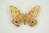  ( - BC-TB9442)  @14 [ ] Copyright (2012) Thierry Bouyer Research Collection of Thierry Bouyer