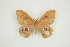  ( - BC-TB9444)  @14 [ ] Copyright (2012) Thierry Bouyer Research Collection of Thierry Bouyer