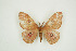  ( - BC-TB9460)  @14 [ ] Copyright (2012) Thierry Bouyer Research Collection of Thierry Bouyer