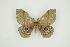  ( - BC-TB9487)  @13 [ ] Copyright (2012) Thierry Bouyer Research Collection of Thierry Bouyer