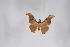 ( - BC-TB5260)  @13 [ ] Copyright (2010) Unspecified Research Collection of Thierry Bouyer