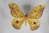  ( - BC-TB5272)  @14 [ ] Copyright (2010) Unspecified Research Collection of Thierry Bouyer