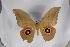  ( - BC-TB5333)  @13 [ ] Copyright (2010) Unspecified Research Collection of Thierry Bouyer