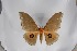  ( - BC-TB5337)  @12 [ ] Copyright (2010) Unspecified Research Collection of Thierry Bouyer