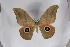  ( - BC-TB5362)  @12 [ ] Copyright (2010) Unspecified Research Collection of Thierry Bouyer