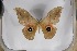  ( - BC-TB5363)  @12 [ ] Copyright (2010) Unspecified Research Collection of Thierry Bouyer