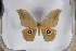  ( - BC-TB5369)  @12 [ ] Copyright (2010) Unspecified Research Collection of Thierry Bouyer