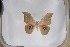  ( - BC-TB5379)  @13 [ ] Copyright (2010) Unspecified Research Collection of Thierry Bouyer