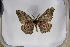  ( - BC-TB5383)  @12 [ ] Copyright (2010) Unspecified Research Collection of Thierry Bouyer