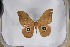  ( - BC-TB5389)  @13 [ ] Copyright (2010) Unspecified Research Collection of Thierry Bouyer