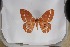  ( - BC-TB5412)  @11 [ ] Copyright (2010) Unspecified Research Collection of Thierry Bouyer