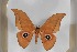  ( - BC-TB5428)  @14 [ ] Copyright (2010) Unspecified Research Collection of Thierry Bouyer