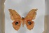  ( - BC-TB5433)  @11 [ ] Copyright (2010) Unspecified Research Collection of Thierry Bouyer