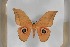  ( - BC-TB5435)  @13 [ ] Copyright (2010) Unspecified Research Collection of Thierry Bouyer