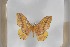  ( - BC-TB5437)  @12 [ ] Copyright (2010) Unspecified Research Collection of Thierry Bouyer
