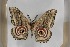  ( - BC-TB5451)  @12 [ ] Copyright (2010) Unspecified Research Collection of Thierry Bouyer