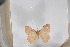 ( - BC-TB5481)  @12 [ ] Copyright (2010) Unspecified Research Collection of Thierry Bouyer