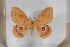  ( - BC-TB5501)  @13 [ ] Copyright (2010) Unspecified Research Collection of Thierry Bouyer
